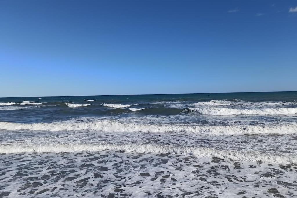 Piso En Playa De Gandia! Apartment Gandia
